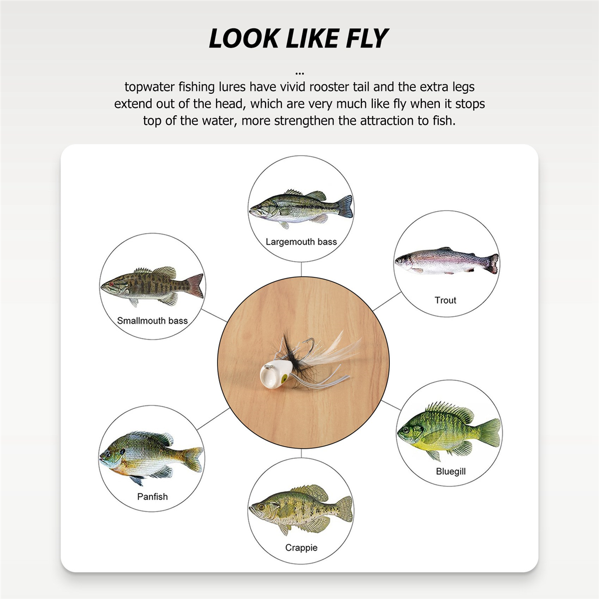 10PCS Fly Fishing Poppers,Topw - Fishing Lure Popper บทวิจารณ์และราคา